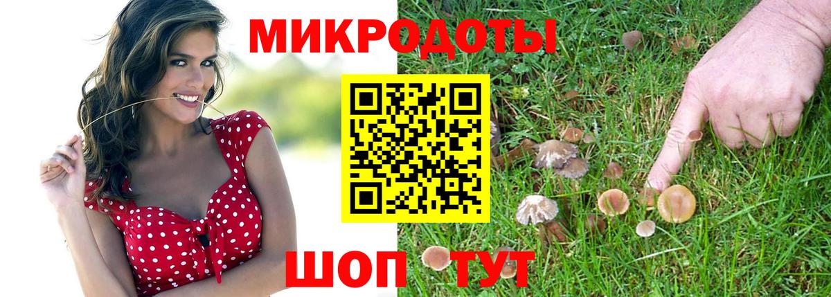 Псилоцибиновые грибы ЛСД  Вход с VPN  Псилоцибиновые грибы прущие грибы  Лесной 